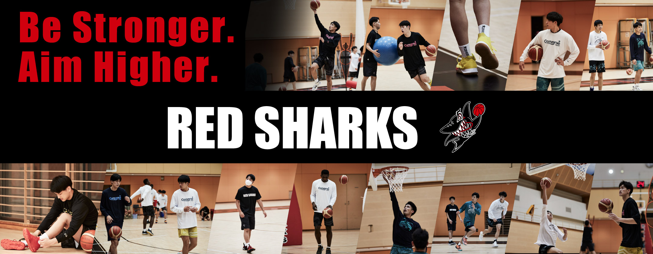 日本大学 RED SHARKS Tシャツ AKATSUKI JAPAN N＆N Tシャツ （レッド