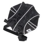 ブラックスター